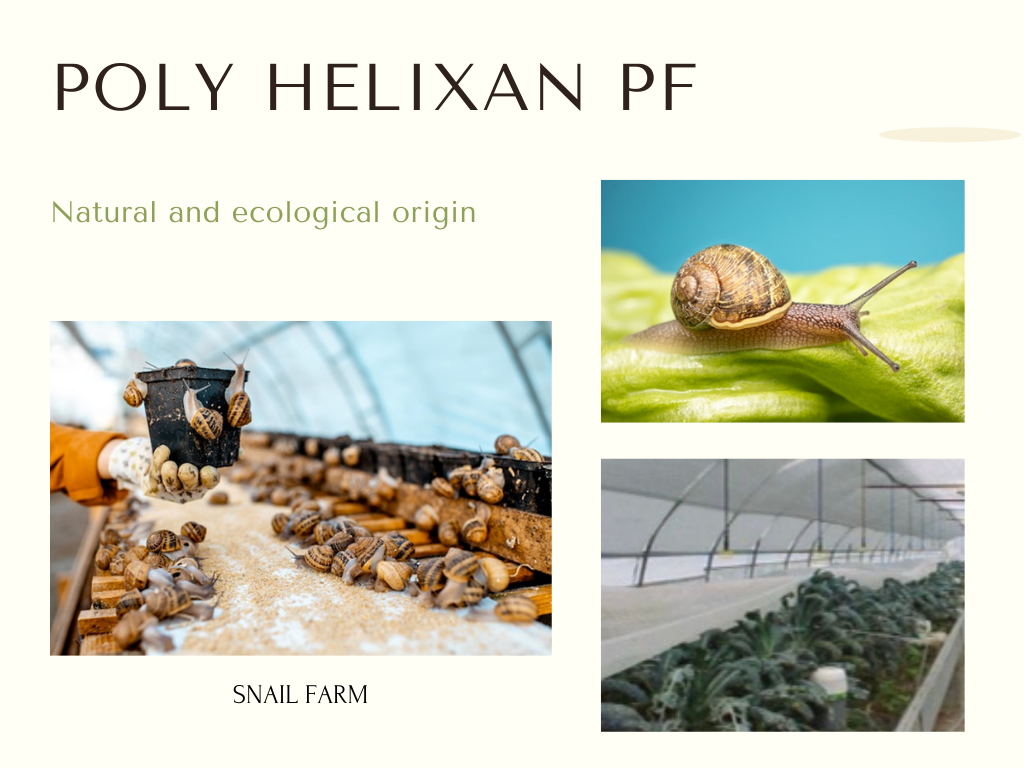 Poly-helixan PF สารสกัดจากเมือกหอยทาก ประกอบด้วยวิตามิน A,C,E และโปรตีน ช่วยฟื้นฟูผิวกระจ่างใส กระชับเรียบเนียนและลดรอยแผลเป็น